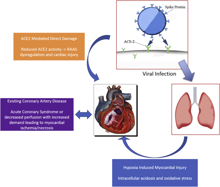 gr1 - Impact Of COVID-19 On Heart Health